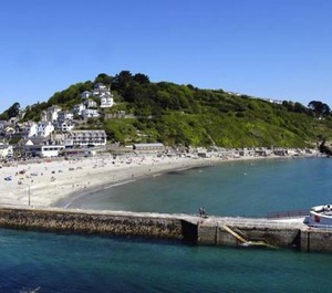 The Dog Friendly Seaton Beach Country Retreat 