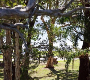 Parklands Gowrie Avenue Tennis Court Child 