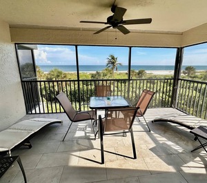 Sanddollar 