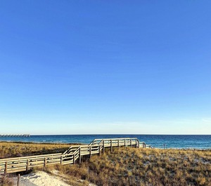 Beachview Beach 