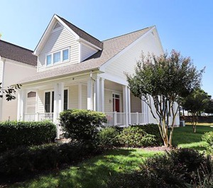 Bear Trap Dunes Sycamore 