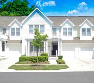 Bear Trap Dunes Poplar 
