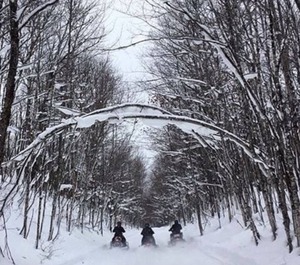 Mountain Rental 