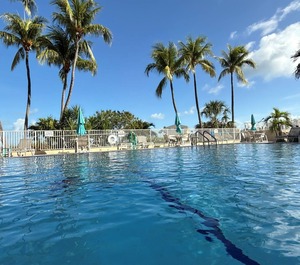 Summer Sea Islamorada 