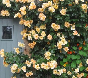 Mill The Heart Of Peak District 