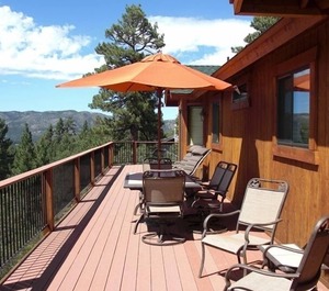 Escape All Seasons Bear 