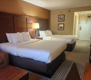 Comfort Inn At The Park 