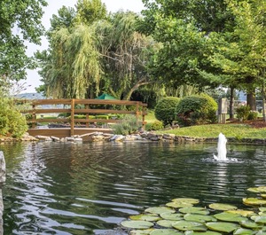 Wyndham Branson At The Meadows 