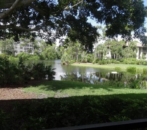Bonita Bay 