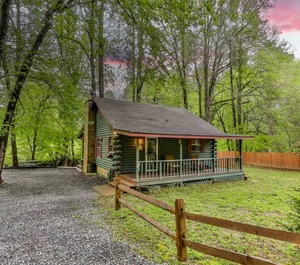 Creekside Reflections 