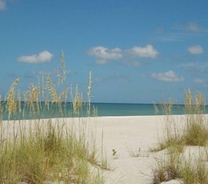 South Seas Captiva 