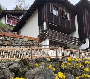 Cosy Chalet 