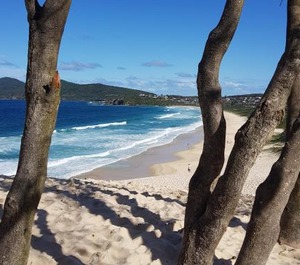 Hibiscus Court Forster Beach 