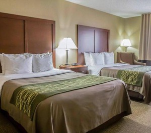 Comfort Inn Morris 