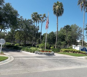 Tangerine At Plantation 