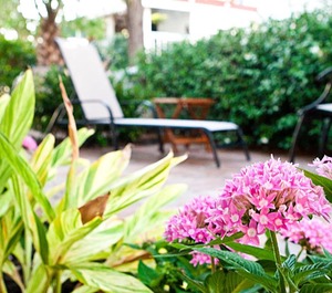 Desoto Beach Gardens 