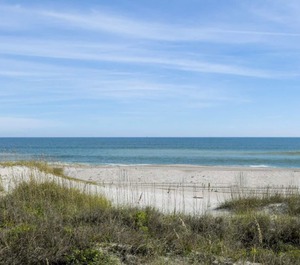 Coral Sands Fernandina Beach 