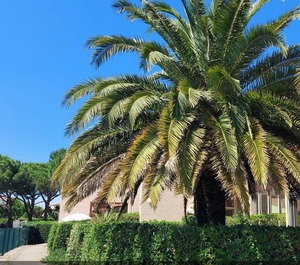 Le Hameau Du Rivage 