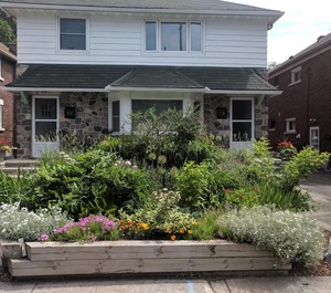 Elcho Ottawa 