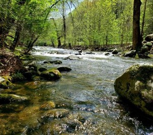 Elk Run 