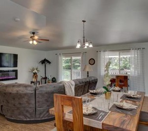 Ferns Frogs Forest Hale 