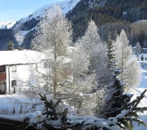 Holiday Davos Dorf Persons Bedrooms 