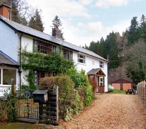 Forestry Cottage 