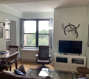 Hoteledison New York 