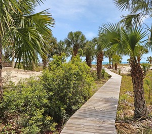 Shores Of Panama City Beach 