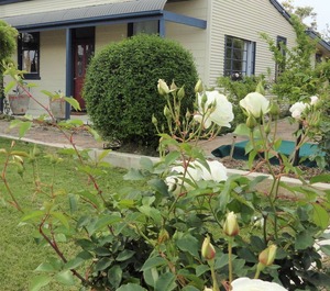 Haven Cottage Kangaroo Island 