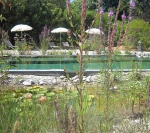 Ferienwohnung Grimaud Für Personen Schlafzimmer 