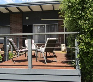 Honeysuckle Grove Silverleaves 