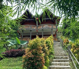 Hotel Orangutan 
