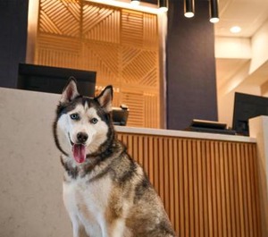 Hyatt Place 