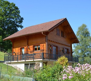 Maison Chambres Avec Vue Sur Le Lac Jardin Aménagé Et À Gérardmer Km Des Pistes 