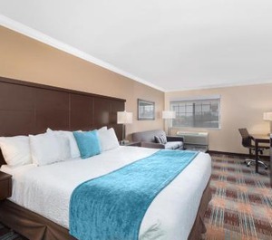 Inn At Moses 