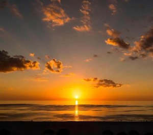 Marco Beach Ocean Resort 