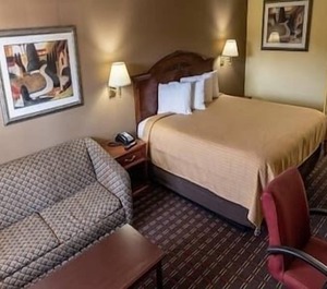 Loyalty Inn Hawkinsville 