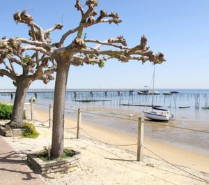 Las Delicias Cap Ferret 