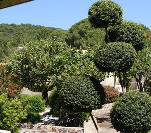 Bb Les Jardins De Santa Giulia 