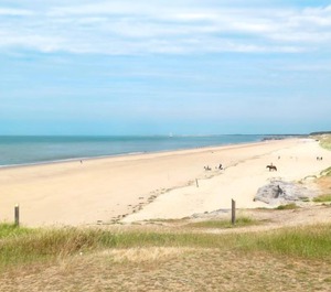 Les Privileges Saint Palais Sur Mer 