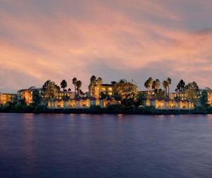 Loews Bay Resort 