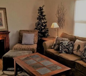 Craftsman Smarthouse 