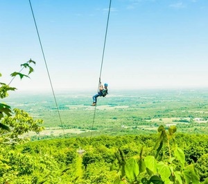Tyrolean The Mountains 