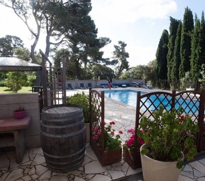 The Heart Of Vineyard 