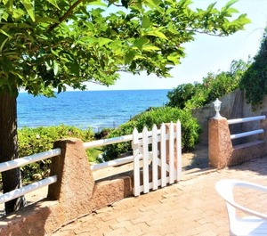 Canella Favone Conca Corse 