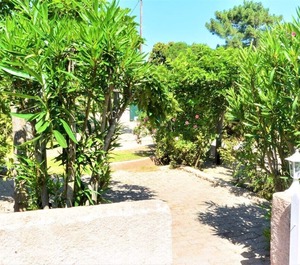 Canella Favone Conca Corse 