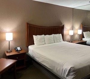 Raintree Inn 