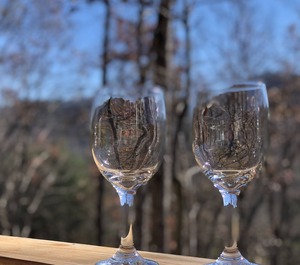 Hickory Haven Candler 