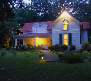 Mulberry Lavender Farm B 
